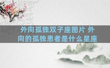 外向孤独双子座图片 外向的孤独患者是什么星座